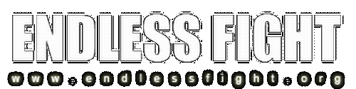 Endless Fight